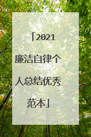 2021廉洁自律个人总结优秀范本