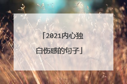 2021内心独白伤感的句子