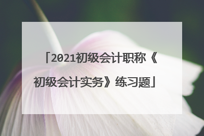 2021初级会计职称《初级会计实务》练习题