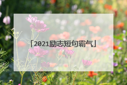 2021励志短句霸气