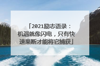 2021励志语录：机遇就像闪电，只有快速果断才能将它捕获