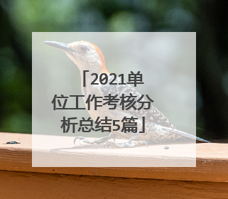2021单位工作考核分析总结5篇