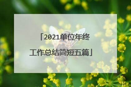 2021单位年终工作总结简短五篇