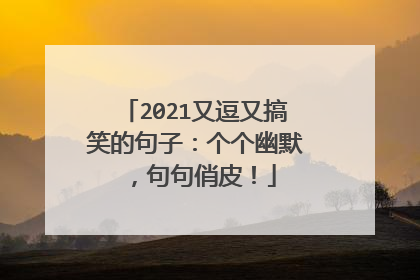 2021又逗又搞笑的句子：个个幽默，句句俏皮！