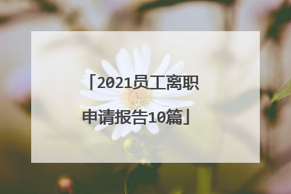 2021员工离职申请报告10篇