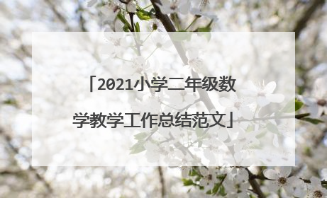 2021小学二年级数学教学工作总结范文