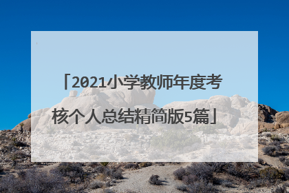 2021小学教师年度考核个人总结精简版5篇