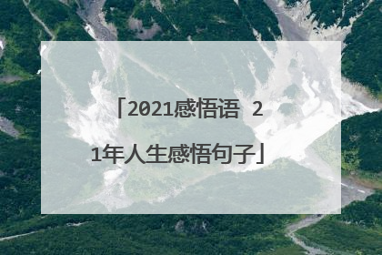 2021感悟语 21年人生感悟句子