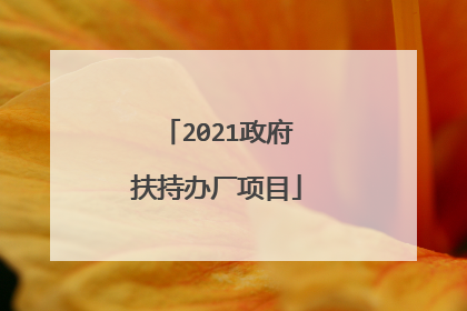 2021政府扶持办厂项目