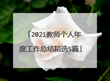 2021教师个人年度工作总结精选5篇