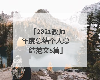 2021教师年度总结个人总结范文5篇