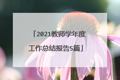 2021教师学年度工作总结报告5篇