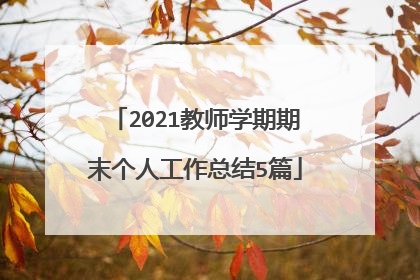 2021教师学期期末个人工作总结5篇