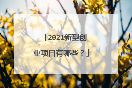 2021新型创业项目有哪些？