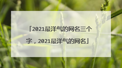 2021最洋气的网名三个字，2021最洋气的网名