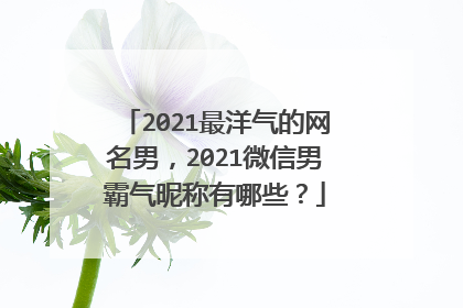 2021最洋气的网名男，2021微信男霸气昵称有哪些？