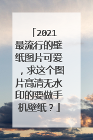 2021最流行的壁纸图片可爱，求这个图片高清无水印的要做手机壁纸？