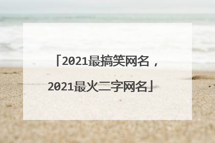 2021最搞笑网名，2021最火二字网名