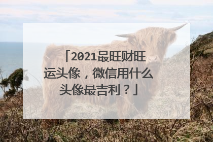 2021最旺财旺运头像，微信用什么头像最吉利？