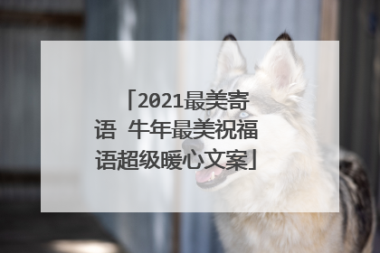 2021最美寄语 牛年最美祝福语超级暖心文案