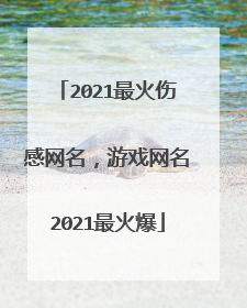 2021最火伤感网名，游戏网名2021最火爆