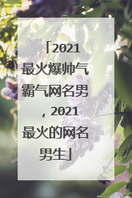 2021最火爆帅气霸气网名男,2021最火的网名男生