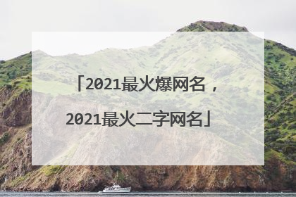 2021最火爆网名，2021最火二字网名