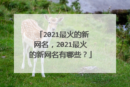 2021最火的新网名,2021最火的新网名有哪些?