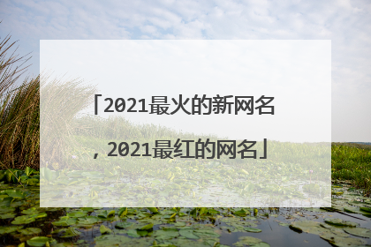 2021最火的新网名，2021最红的网名