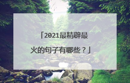 2021最精辟最火的句子有哪些？