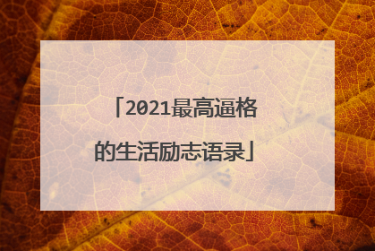 2021最高逼格的生活励志语录