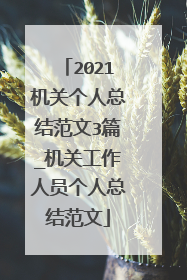 2021机关个人总结范文3篇_机关工作人员个人总结范文