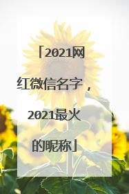 2021网红微信名字，2021最火的昵称