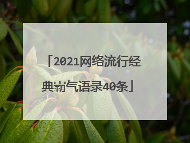 2021网络流行经典霸气语录40条