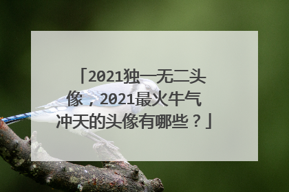 2021独一无二头像，2021最火牛气冲天的头像有哪些？