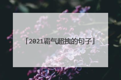 2021霸气超拽的句子