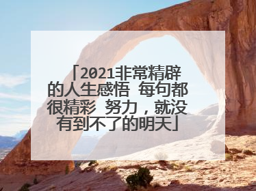 2021非常精辟的人生感悟 每句都很精彩 努力，就没有到不了的明天