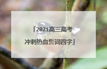2021高三高考冲刺热血誓词四字