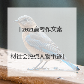 2021高考作文素材社会热点人物事迹