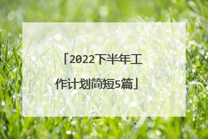 2022下半年工作计划简短5篇