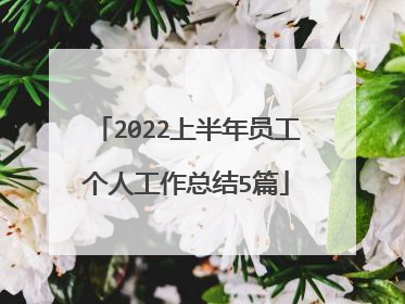 2022上半年员工个人工作总结5篇
