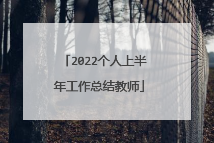 2022个人上半年工作总结教师