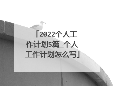 2022个人工作计划5篇_个人工作计划怎么写