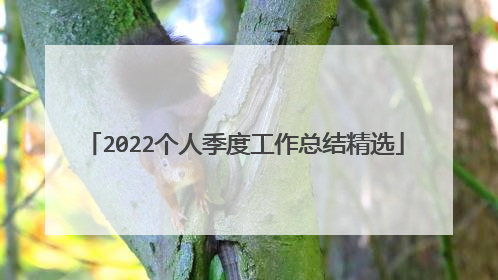 2022个人季度工作总结精选