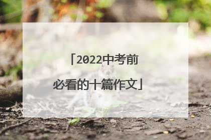 2022中考前必看的十篇作文