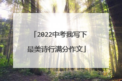 2022中考我写下最美诗行满分作文