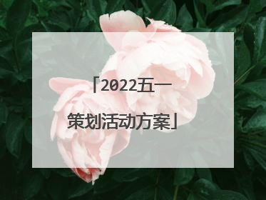 2022五一策划活动方案