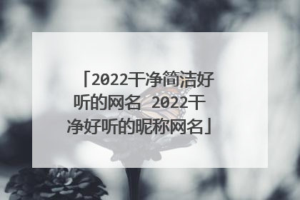 2022干净简洁好听的网名 2022干净好听的昵称网名