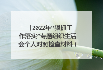 2022年“狠抓工作落实”专题组织生活会个人对照检查材料(全文2918字)