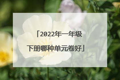 2022年一年级下册哪种单元卷好